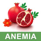 Anemia Care Help & iron Rich Nutrition Foods Diet