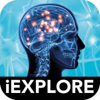The Brain iExplore AR