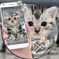 Cute Cat Launcher Theme on 9Apps