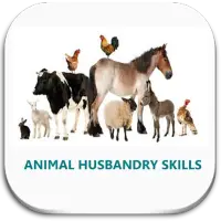 Animal Husbandry Skills APK Download 2023 - Free - 9Apps