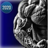 Bodybuilding and Gym Workouts 2020 on 9Apps