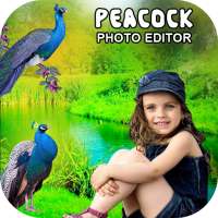 Peacock Photo Editor - Cut Paste Photo