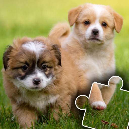 Dogs & Cats Puzzles for kids & toddlers 2 🐱🐩