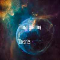 Human Anatomy E Theories