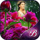 Rain Rose Photo Frames on 9Apps