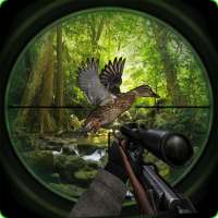 Extreme Sniper Birds Hunting
