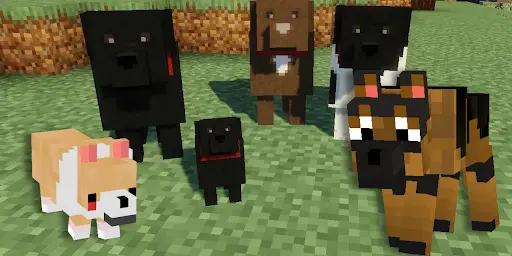 Descarga De La Aplicacion Dog Mod For Minecraft 22 Gratis 9apps