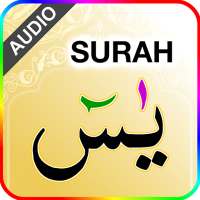 Surah Yaseen with Sound ( سورة يس) on 9Apps
