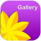 Gallery-Best photo video app on 9Apps