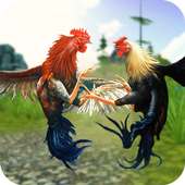 Rooster Wild Fighting