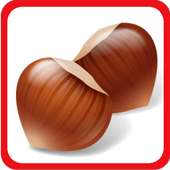 Kids Learning Nuts & Spices on 9Apps