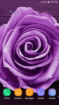 Purple Rose Live Wallpaper APK Download 2023 - Free - 9Apps