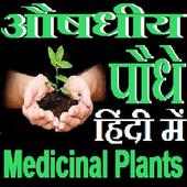 औषधीय पौधे - Medicinal Plants