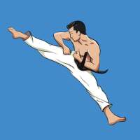 Taekwondo : Artes Marciales