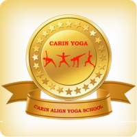 Carin Studio