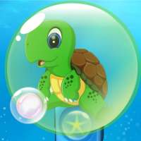 Turtle Bubbles