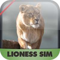 Lioness Survival Adventure 3D