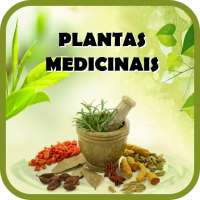 Plantas Medicinais e seus usos