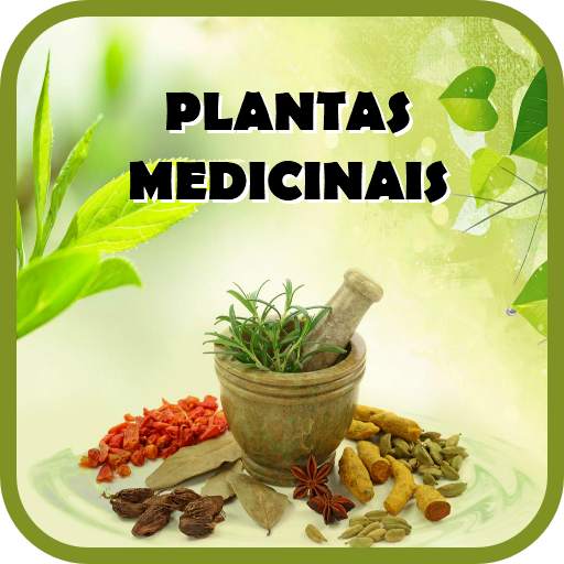 Plantas Medicinais e seus usos - Remedios Caseiros