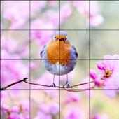 Tile Puzzles · Spring
