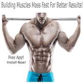 Building Muscles Mass App For Better Results! on 9Apps