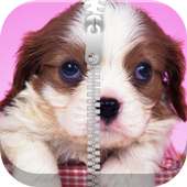 Cute Puppy Zipper Screen Lock