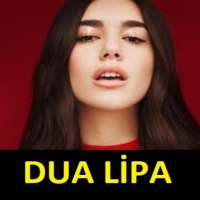 Dua Lipa Songs offline on 9Apps
