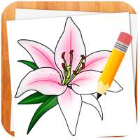 Wie Blumen zeichnen