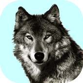 Wolf Sounds Free on 9Apps