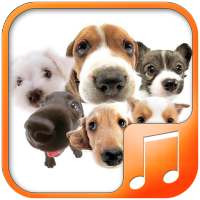 Dogs Sounds on 9Apps