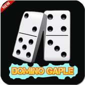 Domino Gaple QQ 99オフライン無料