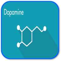 How to Increase Dopamine