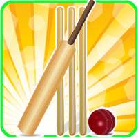 T20 Cricket Blast 2014