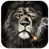 Cool Lion Lock Screen for You on 9Apps