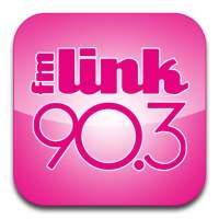 FM Link Radio