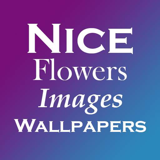 Nice flowers and rose images