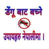 Dengue Fever Prevention