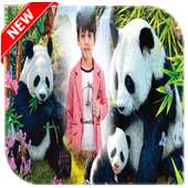 Panda Photo frame on 9Apps