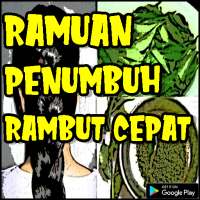 Ramuan Penumbuh Rambut Cepat on 9Apps