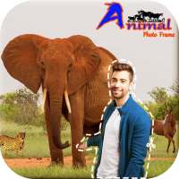 Animal Photo Frame : Photo Cut out Editor