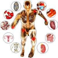 Medical Physiology - All in One on 9Apps