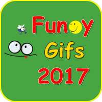 Funny Gifs 2019 on 9Apps