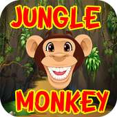 Jungle Monkey Run 2018