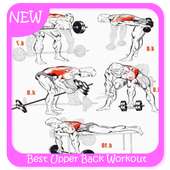 Best Upper Back Workout