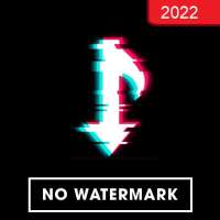 Video Downloader for TikTok No Watermark - 2022