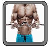 Exercices Bodybuilding Guide on 9Apps