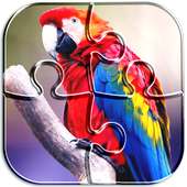 Colorful Parrot Puzzle