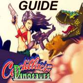 NEW GUIDE FOR CADILLACS AND DINOS