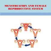 MENSTRUATION SYSTEM on 9Apps