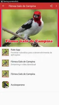 papa-capim fêmea para foguear APK voor Android Download